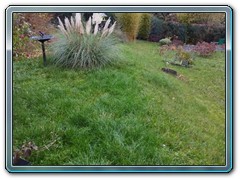 gartenbild